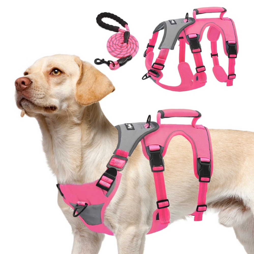 NWT Pink Dog Harness with Leash Set